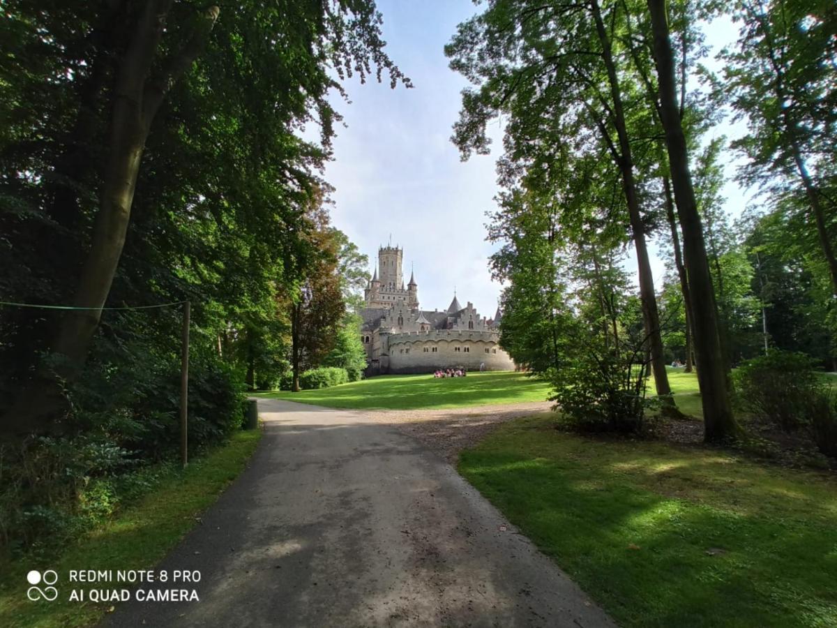 Salzhemmendorf Ferienwohnung Colin Im Schoenen Weserbergland Naehe Freizeitpark מראה חיצוני תמונה